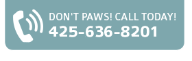 Call Today 425-636-8201 All About Cats Veterinary Hospital | Kirkland WA 98033