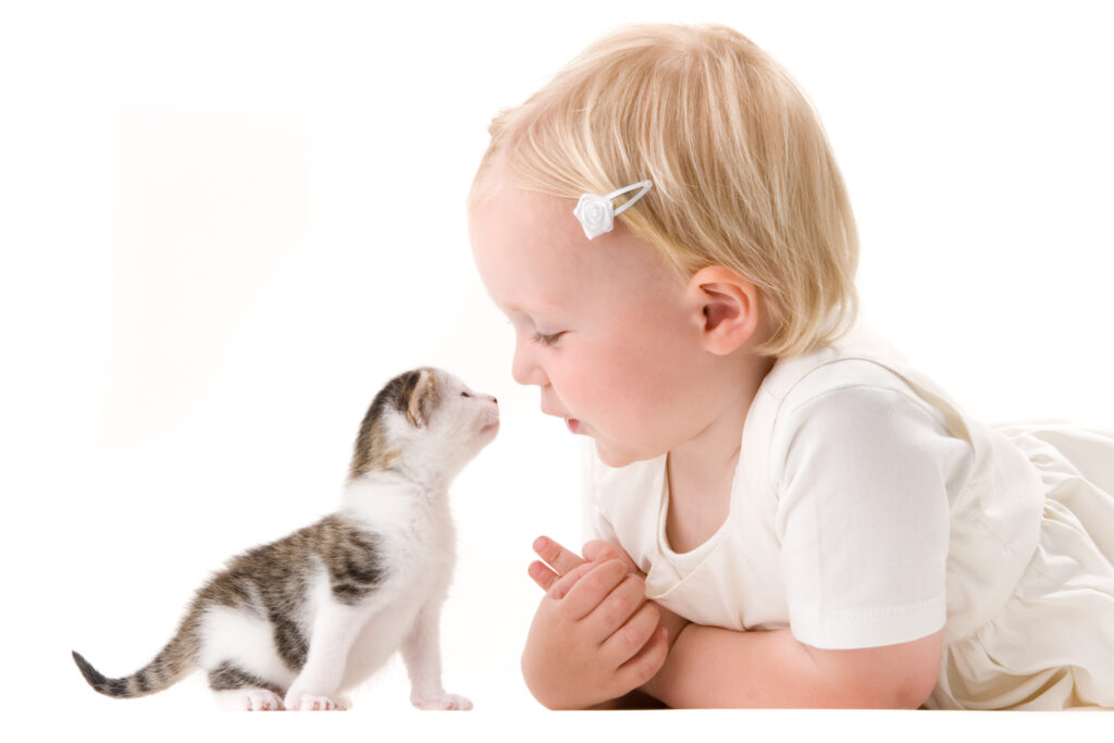 Young girl posing with kitten