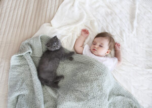 How to Safely Introduce Your Cat to Your New Baby
